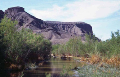 Amargosa River near Beatty